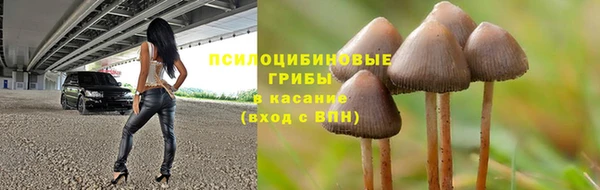 ПСИЛОЦИБИНОВЫЕ ГРИБЫ Баксан